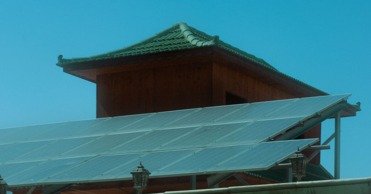 Understanding Your Solar Panel Warranty Terms in Adelaide